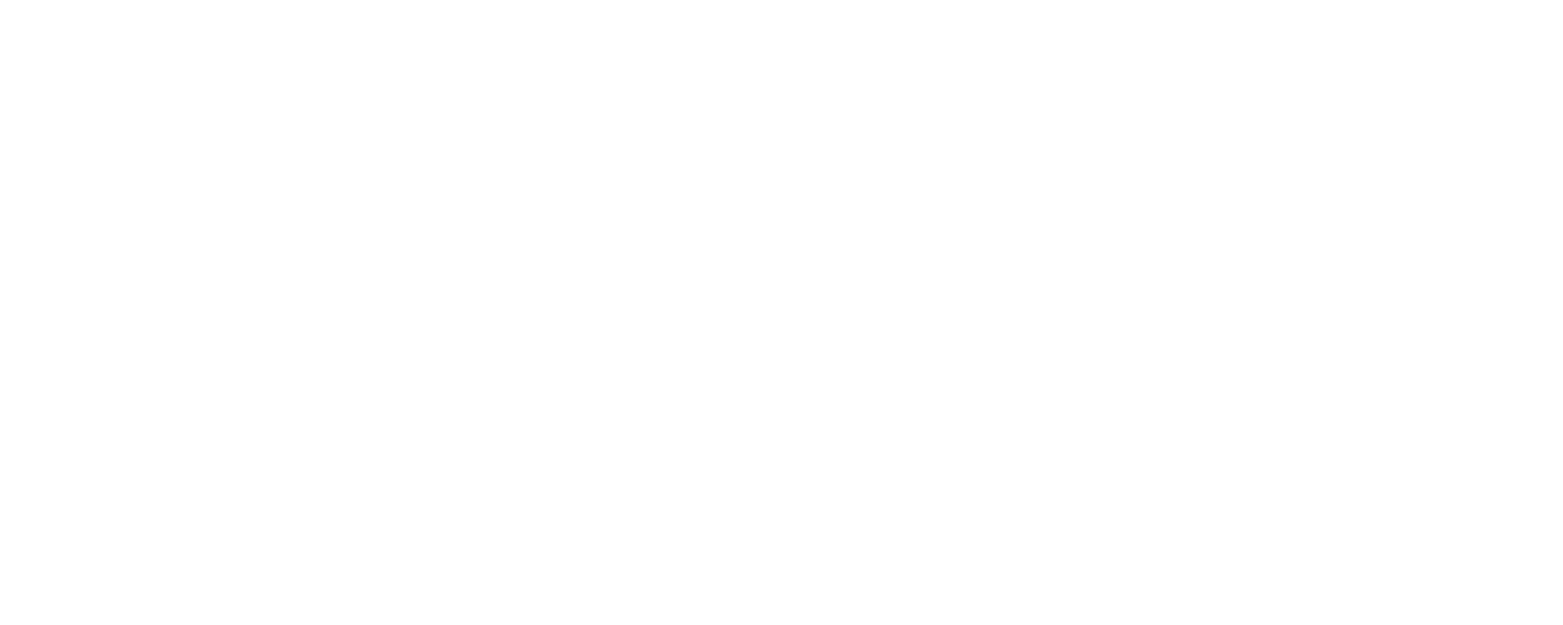 Cognitive Code - SILVIA - Logo
